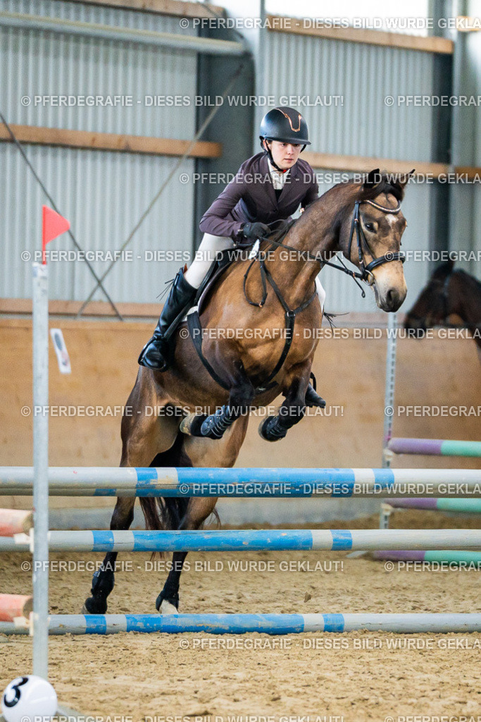 DSC00579 | Pferdegrafie