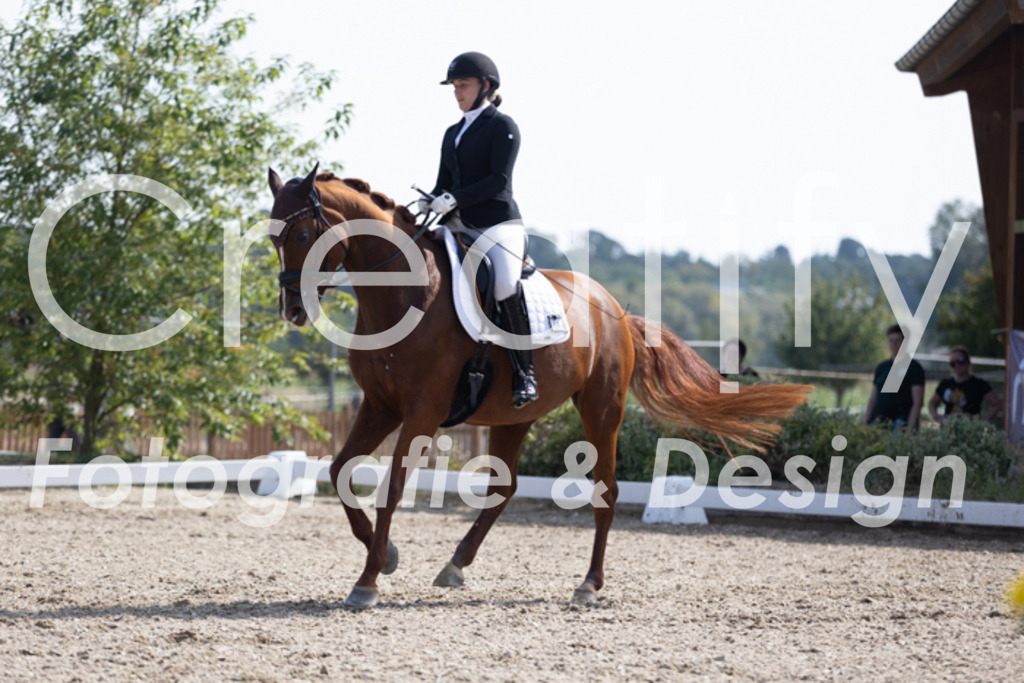 IMG_3483 | Creatify Fotografie