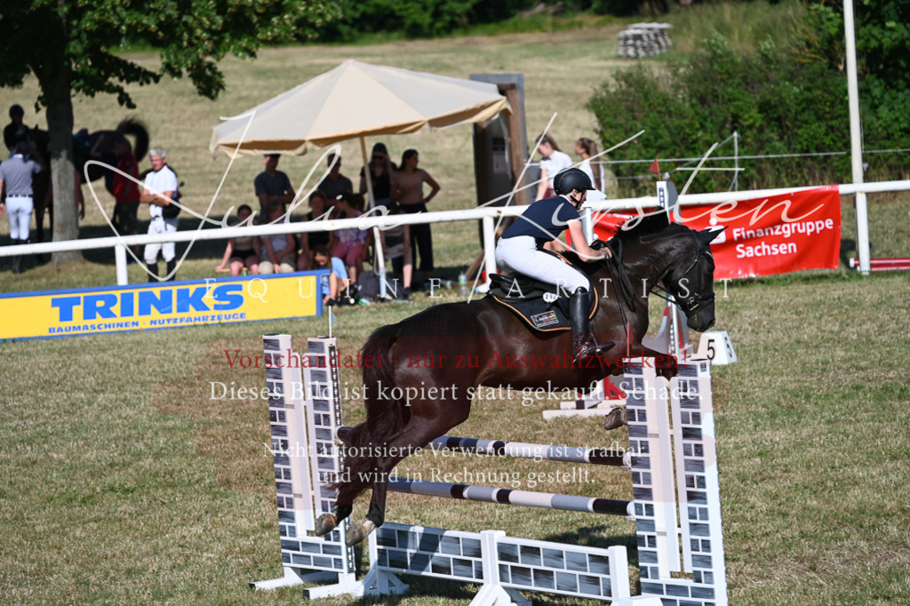 DSC_2547 | Pferde- und Turnierfotografie in Westsachsen. Pferdeportraits, Auftragszeichnungen und intuitive Kunst.