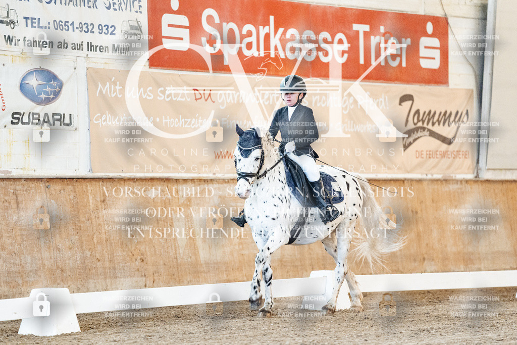CK906426 | Turnierfotografie Pferdefotografie Trier Rheinland-Pfalz Pferdesport Reitsport Tierfotografie Sportfotografie Pferdevideo Pferdevideografie Equestrianvideography equestrianphotography  - Realisiert mit Pictrs.com