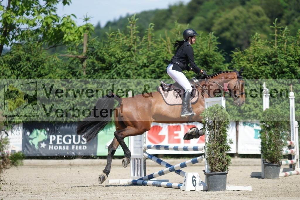 DSC06252 | equestrian-live-com