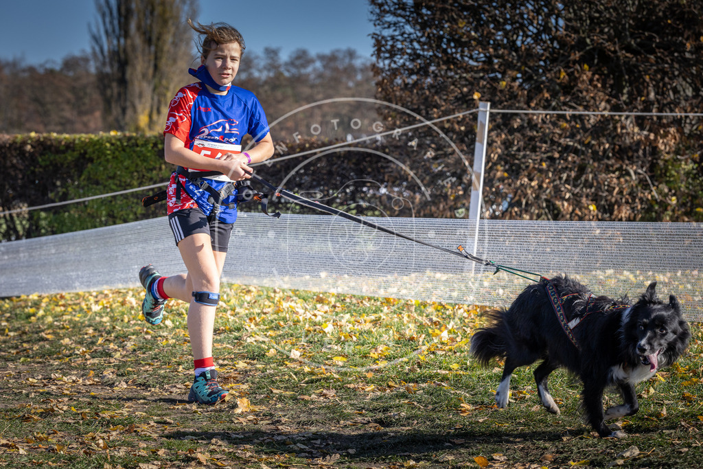 CaniXpix_DV3A8787 | Hundefotografie, Tierfotograf, Pfotenfotografie, Fotoshooting Hund, Hunde Portrait, Hundesport, Hundeportraits, Heideshooting, Hunde, Sportfotograf, Hundefotograf, Turnierhundsport, THS,  - Realisiert mit Pictrs.com