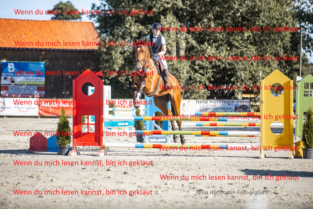 BK1A7599 | Turnierbilder Turnierfotos Nina Hüffmann Turnierfotografie Pferdefotografie Tierzeichnung Haustierzeichnung Pferdezeichnung Hundezeichnung Videograf  - Realisiert mit Pictrs.com