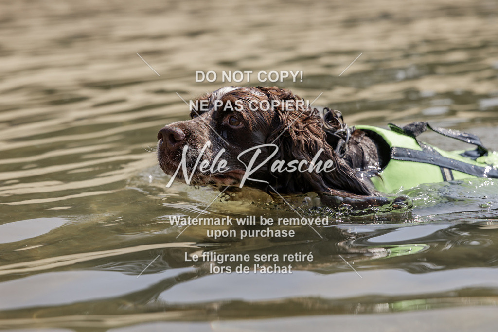 BUHU_SUP_557 | nelerasche