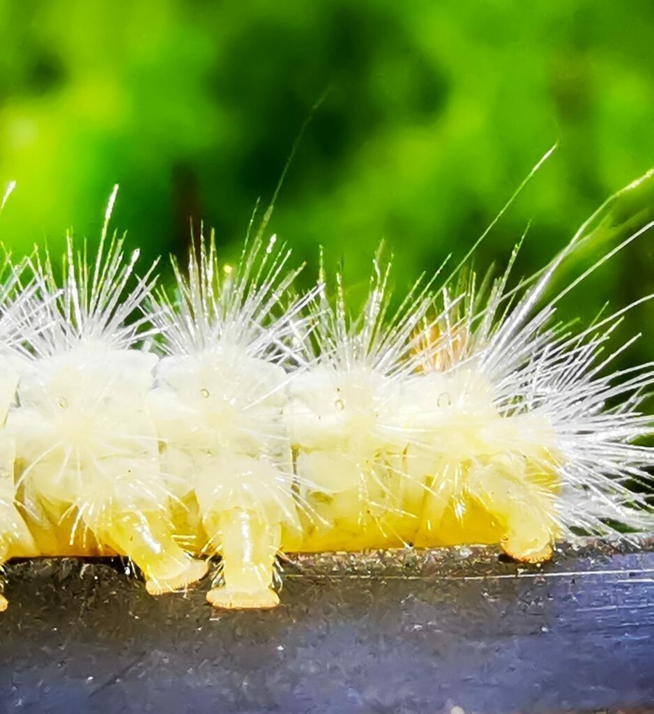 PSX_20221026_223203 | mtkfoto_ - Realisiert mit Pictrs.com