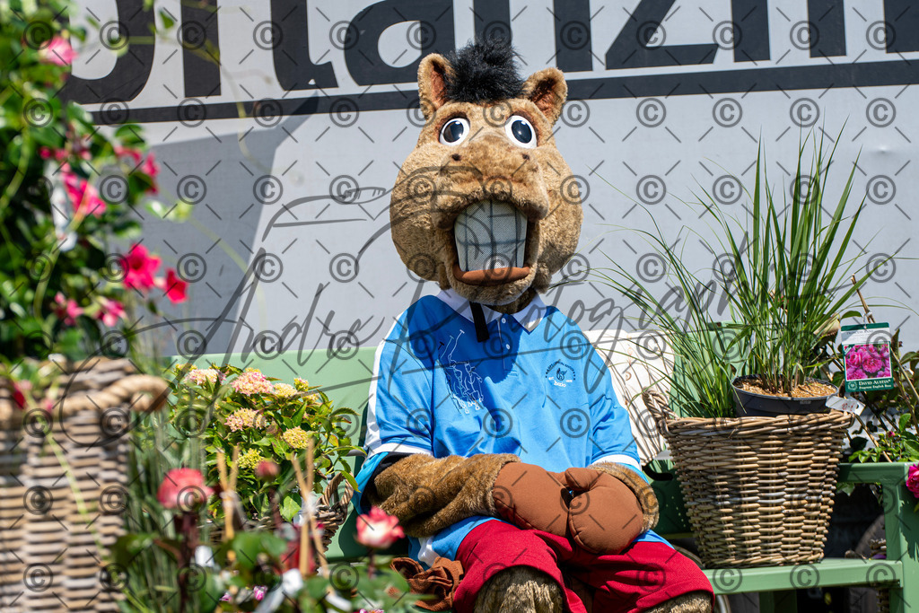 POL_3242 | andre_photographic