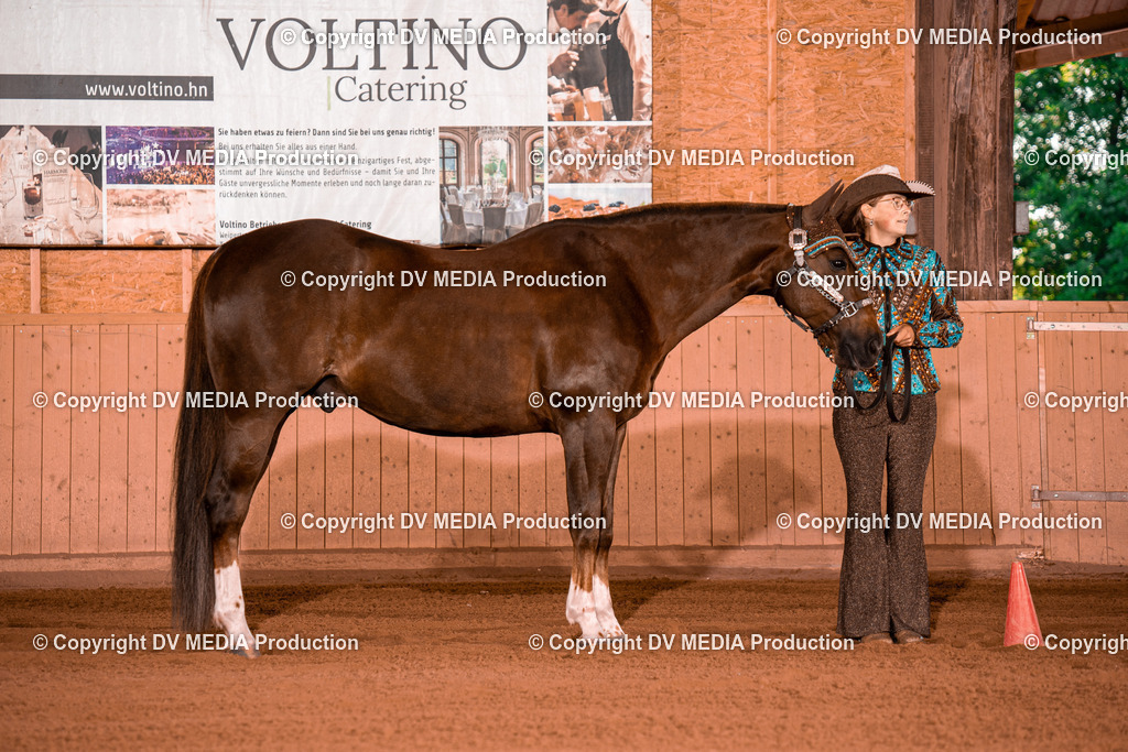 NE100109 | dv-media-shop - Realisiert mit Pictrs.com