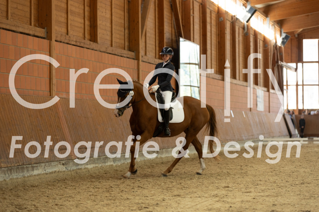 IMG_8787 | Creatify Fotografie