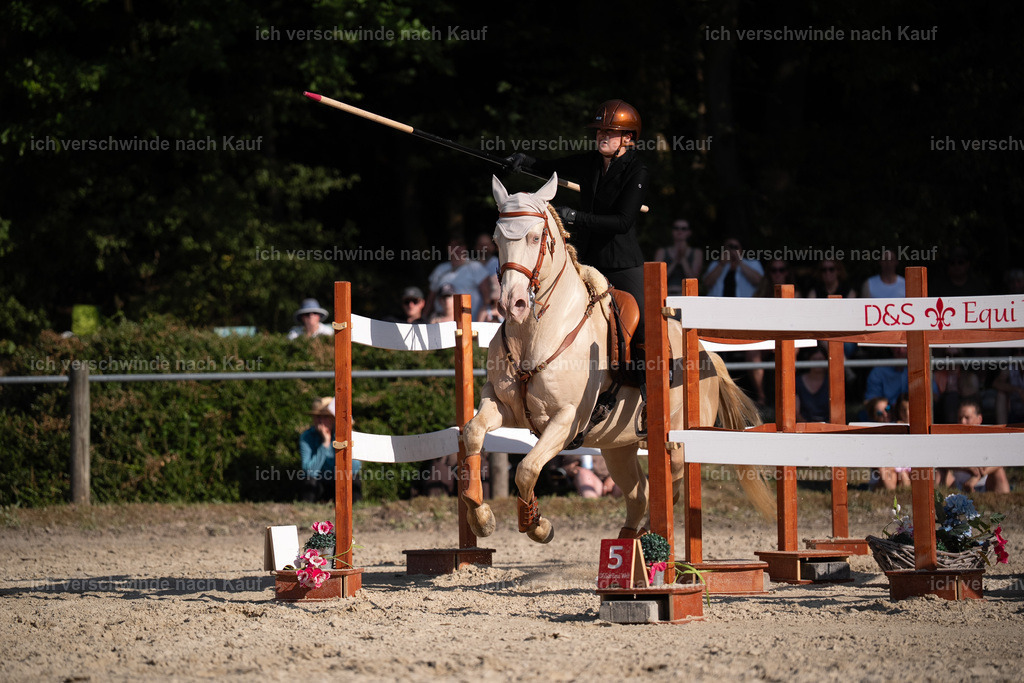 WS_SP_65_Stoibphotography_SO12093 | working equitationturnier fotograf videograf stoibphotography marixx film working equitation deutschland reitsport turnierfotografie eventfotografie equestrian events