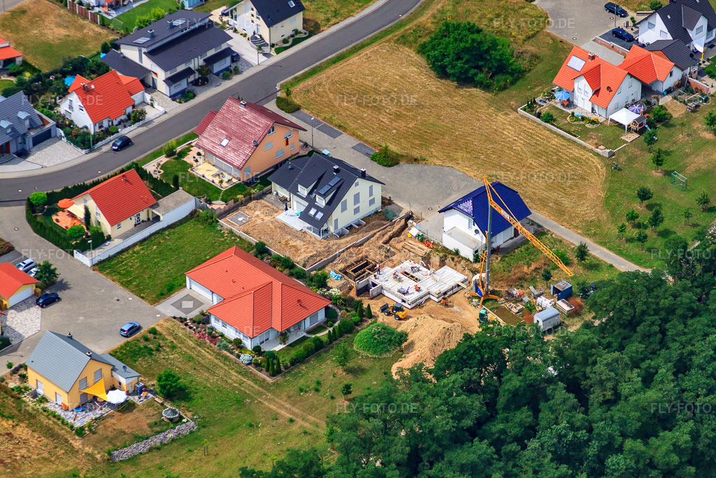 Luftbild: Löwenzahnweg im Ortsteil Hardtwald in Neupotz im Bundesland Rheinland-Pfalz in Deutschland. Foto: IMG_29758.jpg vom 02.07.2010 durch Werner Riehm/FLY-FOTO.de