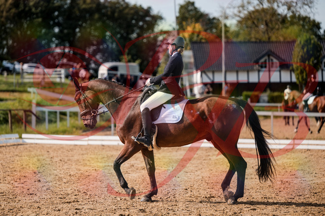 2026_10_03_Siefer-Hof_130513_Z63_68539053 | Professionelle Reitsport-, Turnier- und Eventfotografie von Robert Broda. Galerien mit ausgewählten und bearbeiteten Bildern direkt online ansehen und bestellen.