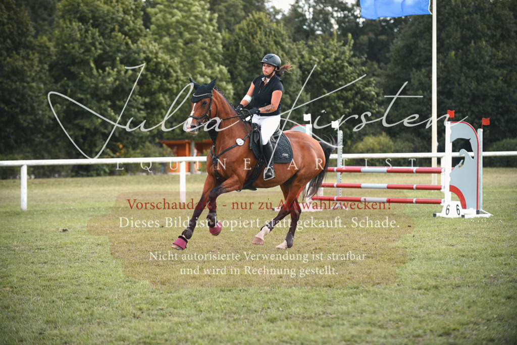 DSC_6696 | Pferde- und Turnierfotografie in Westsachsen. Pferdeportraits, Auftragszeichnungen und intuitive Kunst.