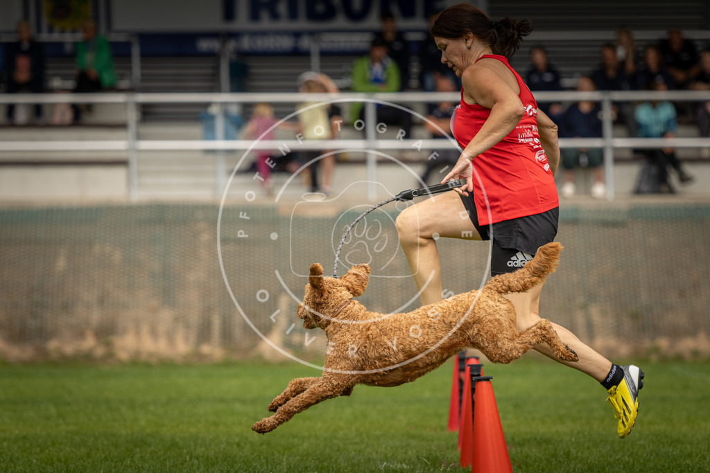 Pfotenfotografie_DV3A1981 | Hundefotografie, Tierfotograf, Pfotenfotografie, Fotoshooting Hund, Hunde Portrait, Hundesport, Hundeportraits, Heideshooting, Hunde, Sportfotograf, Hundefotograf, Turnierhundsport, THS,  - Realisiert mit Pictrs.com