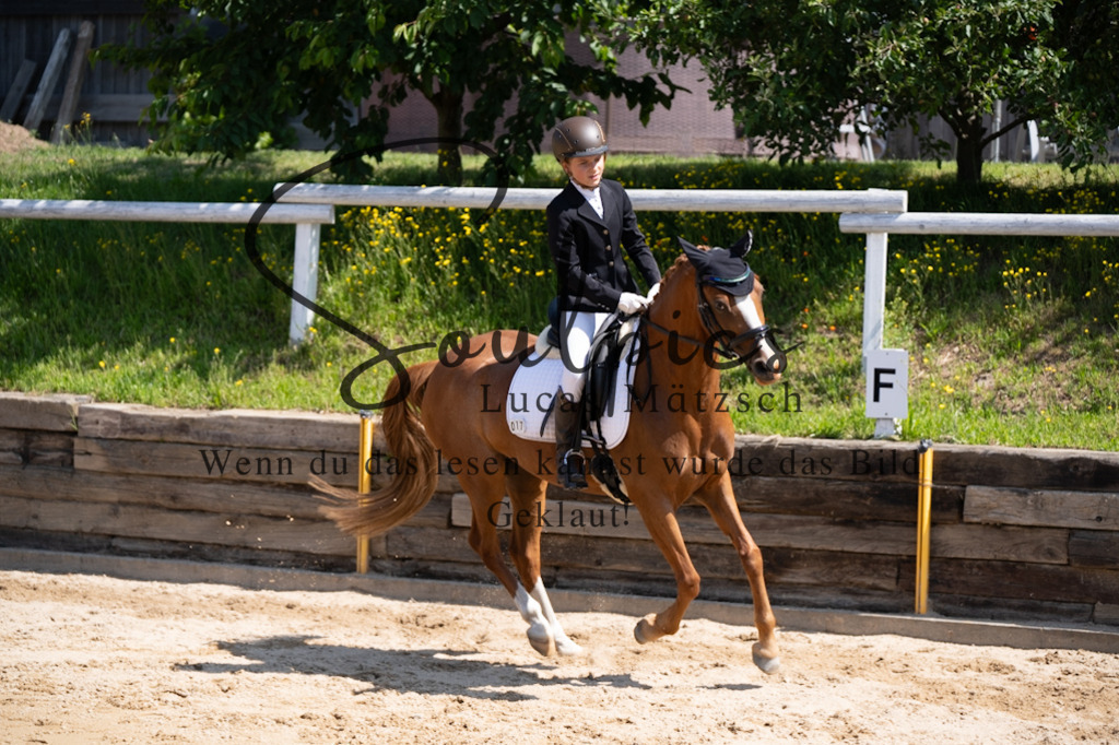 A7V07971 | Pferdefotograf