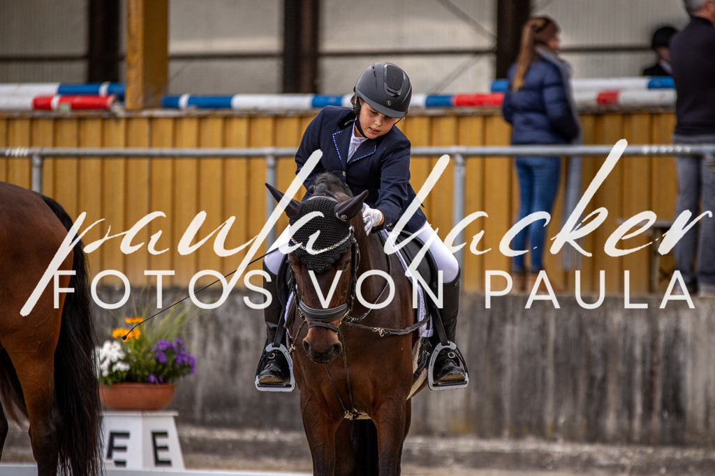 IMG_3591 | Erleben Sie dynamische Sport- und emotionale Tierfotografie in Süddeutschland mit Fotos von Paula. Spezialisiert auf Pferde- und Hundefotografie sowie Sportevents. Kontaktieren Sie mich für einzigartige und ausdrucksstarke Bilder Ihrer besonderen Momente. - Realisiert mit Pictrs.com