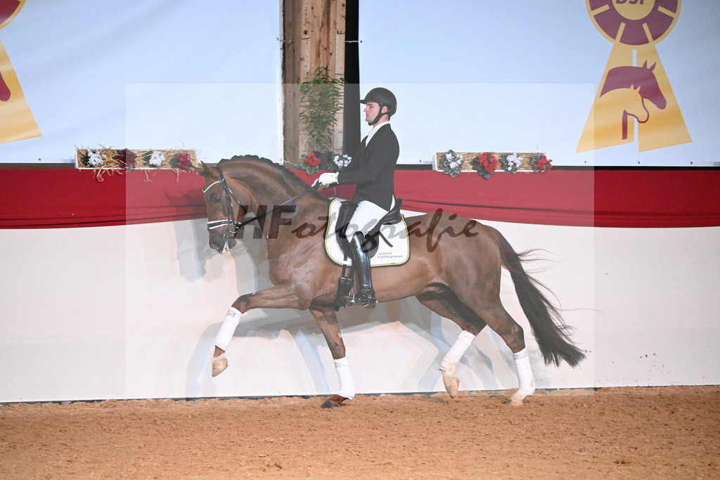 Feliciano_Wadenspanner_1234840 | hf-fotografie - Realisiert mit Pictrs.com