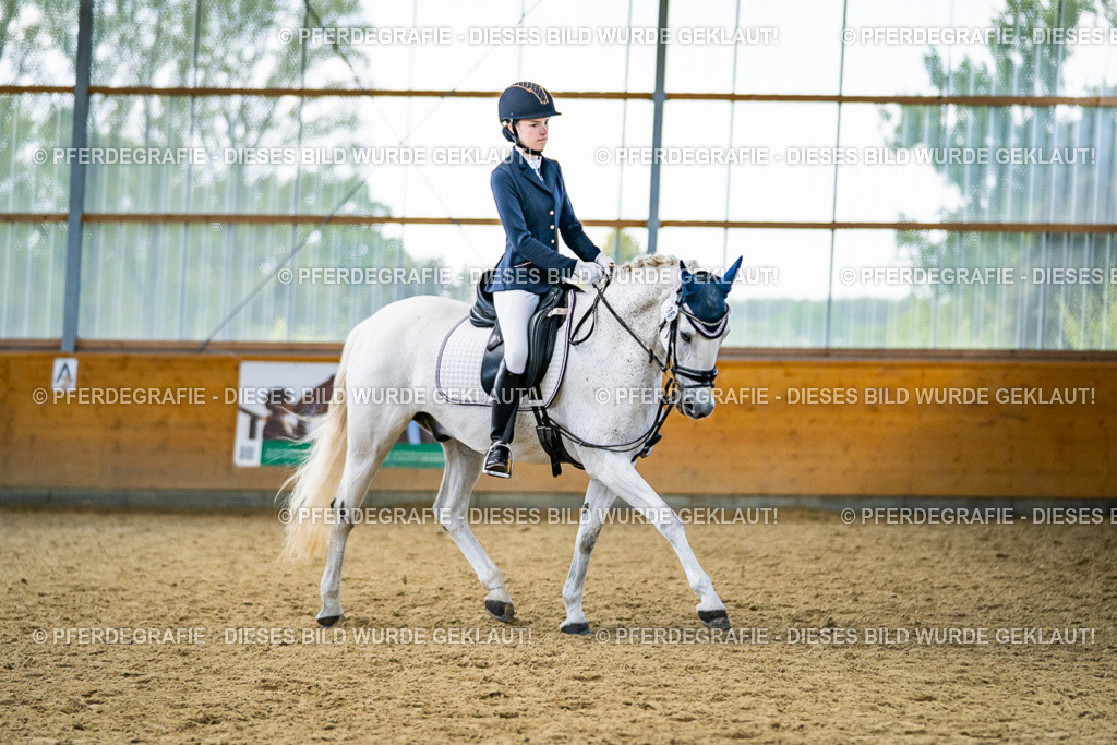 DSC04813 | Pferdegrafie