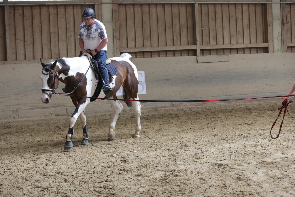 0P6A9138 | Willkommen bei Brunnmayr - Design & Fotografie – Ihrem Spezialisten für Reitturniere und Pferdeveranstaltungen in Oberösterreich, Salzburg und Bayern! Seit über 17 Jahren sind wir leidenschaftlich dabei.