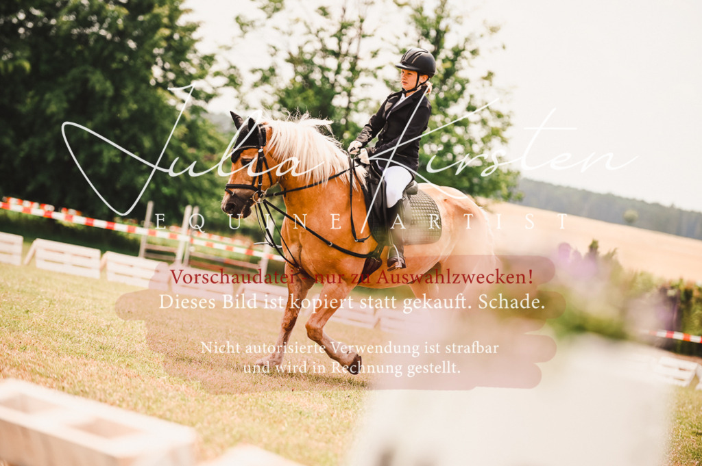 DSC_6319 | Pferde- und Turnierfotografie in Westsachsen. Pferdeportraits, Auftragszeichnungen und intuitive Kunst.