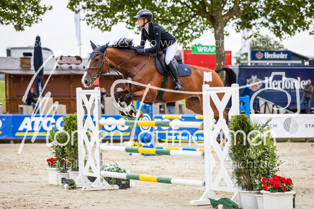 BHO-2PhSpr-M-216 | MomenTaufnahmen Pferdesportfotos