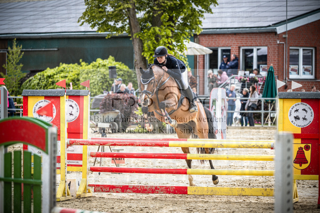 DOS_1677 | Reitturnier Lüdinghausen - Realisiert mit Pictrs.com