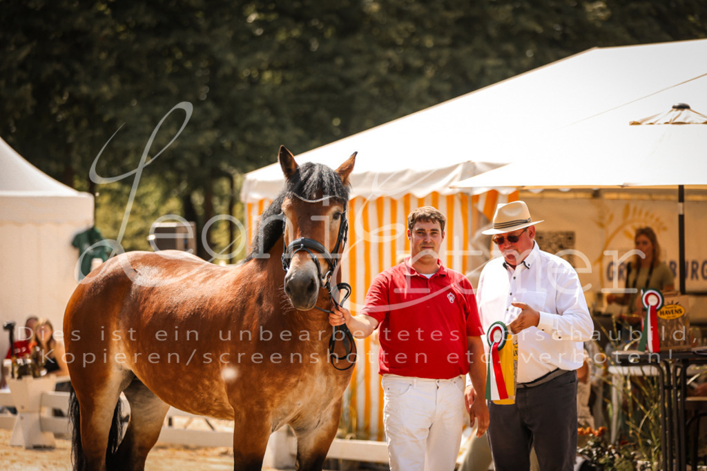 1.Sa00050 | Leoni Ertmer Photography - Realisiert mit Pictrs.com