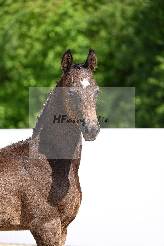 Esperanto x Livigno_HF_Ederle_13250613 | hf-fotografie - Realizzato con Pictrs.com