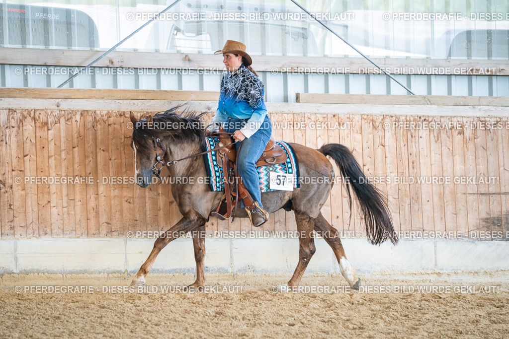 DSC03626 | Pferdegrafie