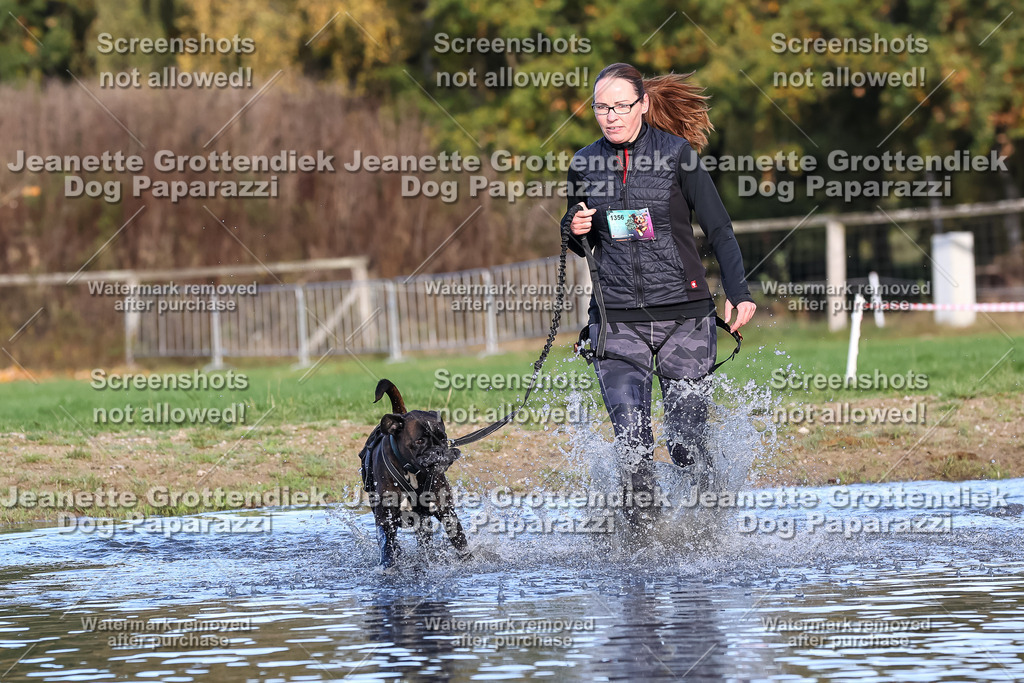 Dog Paparazzi - Strongdog 10-25-8510 | Dog Paparazzi Jeanette Grottendiek Fotografie & Videografie - Realisiert mit Pictrs.com