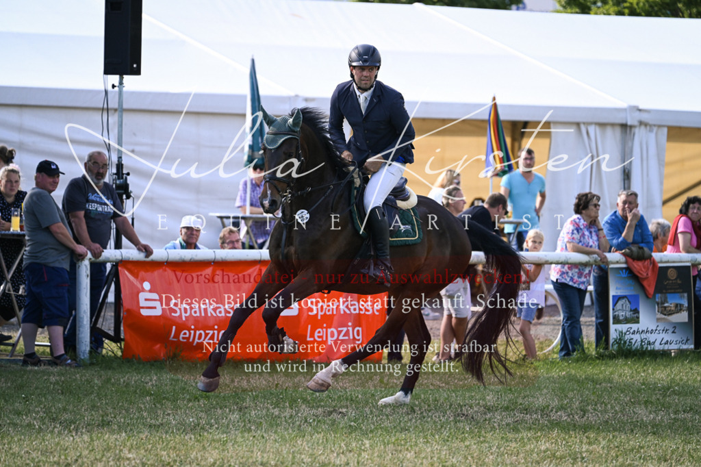 DSC_1400 | Pferde- und Turnierfotografie in Westsachsen. Pferdeportraits, Auftragszeichnungen und intuitive Kunst.