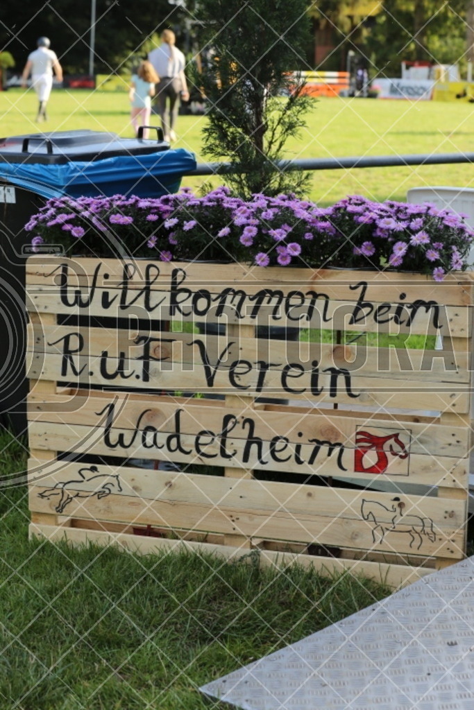 IMG_6179 | photographesa-joergens - Realisiert mit Pictrs.com