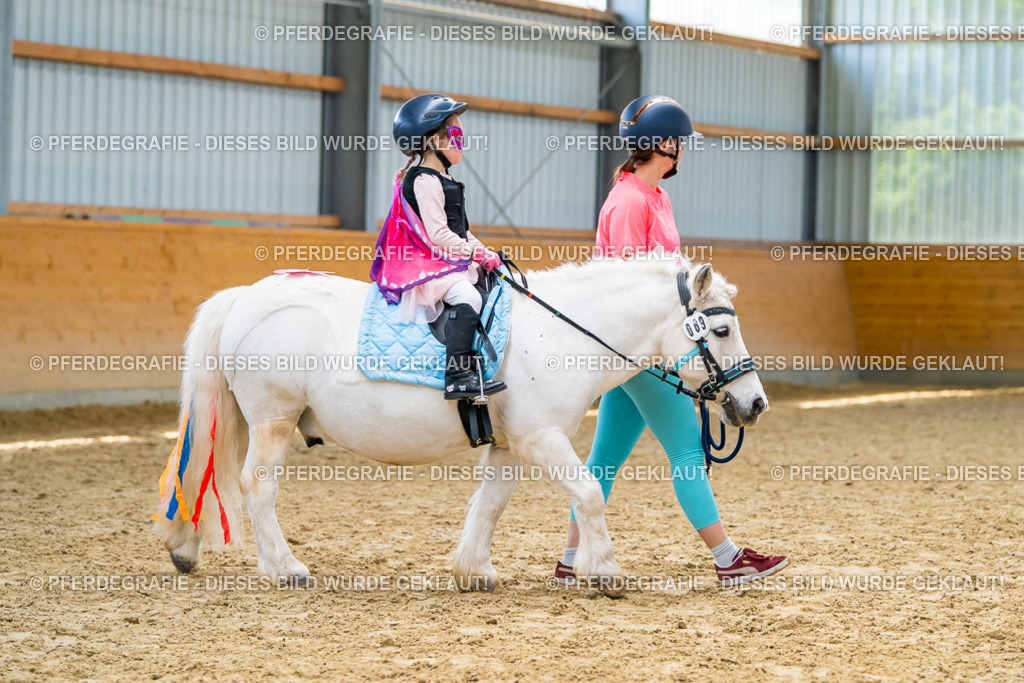 DSC00050 | Pferdegrafie