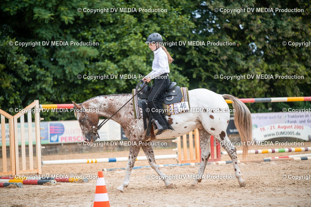 ZS2_7582 | dv-media-shop - Realisiert mit Pictrs.com