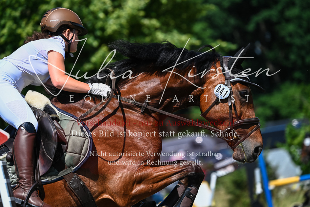 DSC_1201 | Pferde- und Turnierfotografie in Westsachsen. Pferdeportraits, Auftragszeichnungen und intuitive Kunst.