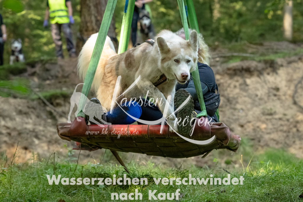 1446_ZZ90814-Bearbeitet-2 | kk-dogfotos