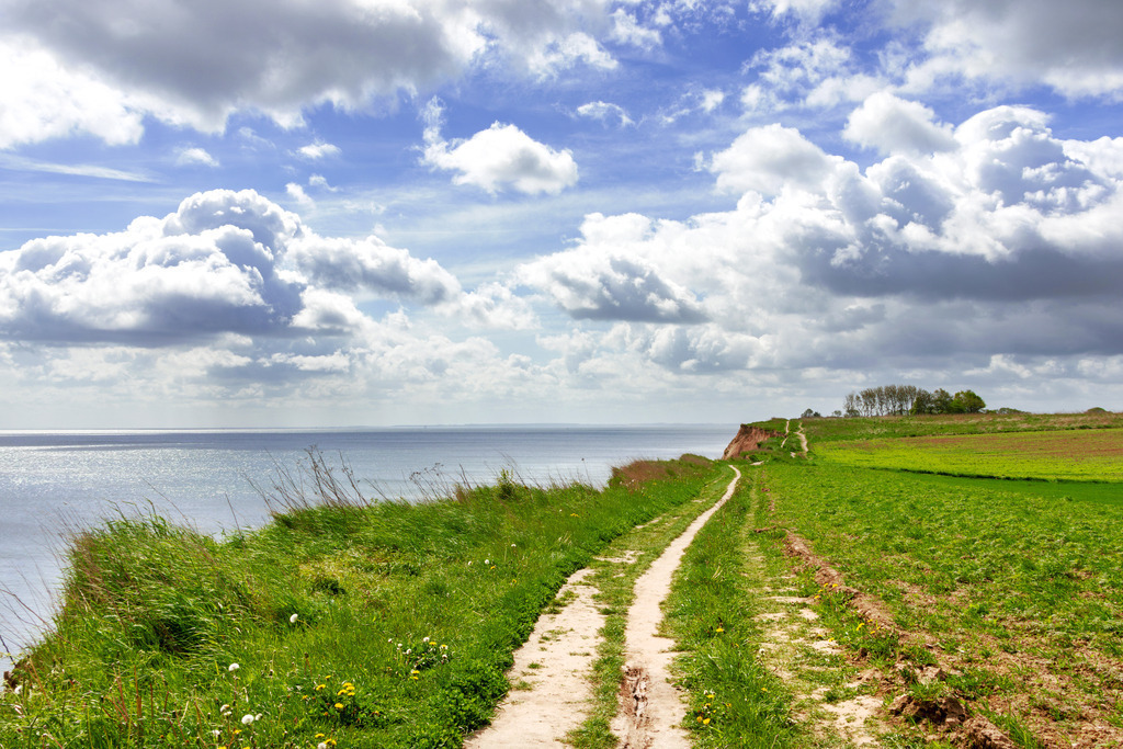 Wandbild: Steilküste an der Ostsee in Schönhagen | Ein weiter Blick über die Ostsee – dieses Wandbild zeigt den Wanderweg entlang der Steilküste in Schönhagen. Die natürliche Küstenlandschaft und das offene Meer schaffen eine harmonische Verbindung von Weite und Ruhe. Über dem Horizont erstreckt sich der blaue Himmel mit sanften Frühlingswolken, die die Szene in eine friedliche Atmosphäre tauchen. Perfekt für alle, die sich die Schönheit der unberührten Küstennatur nach Hause holen möchten. - Realisiert mit Pictrs.com