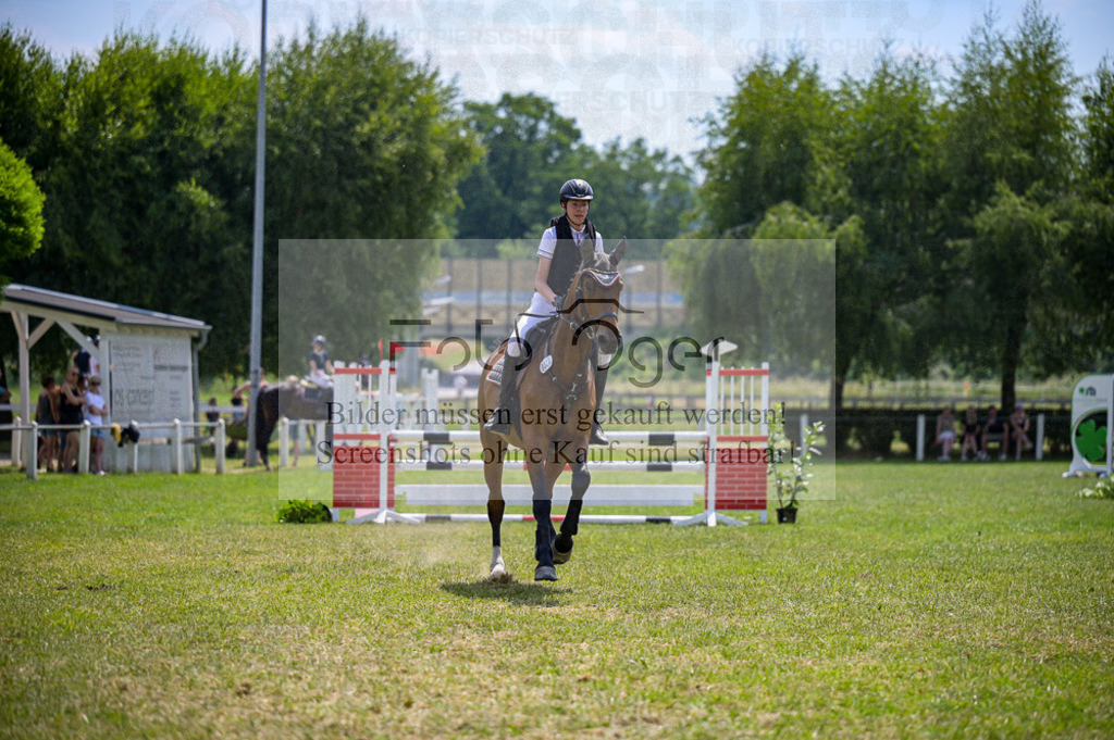 Reitturnier Voxtrup | Entdecke hochwertige Reitturnierfotos von Foto Oger. Professionell, emotional und authentisch – jetzt Lieblingsmomente im Shop bestellen.Deutschlandweite Turnierfotografie. - Realisiert mit Pictrs.com