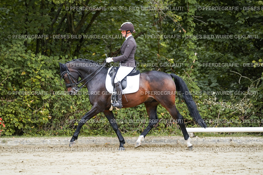 DSC08735 | Pferdegrafie