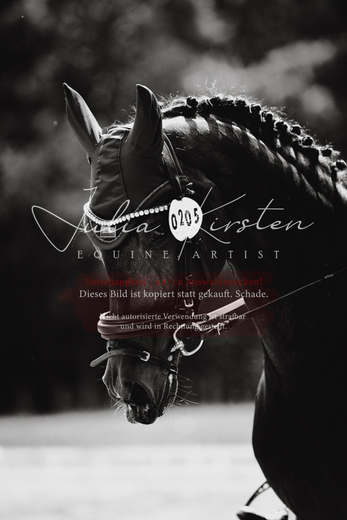 DSC_0950 | Pferde- und Turnierfotografie in Westsachsen. Pferdeportraits, Auftragszeichnungen und intuitive Kunst.