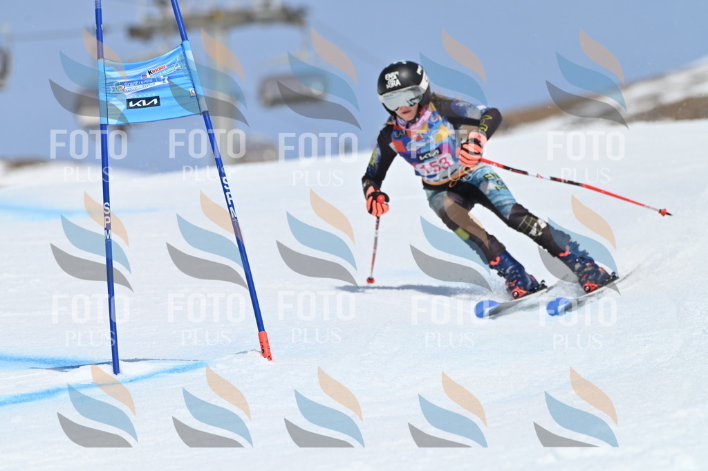 BGV_0101 | holidayphoto