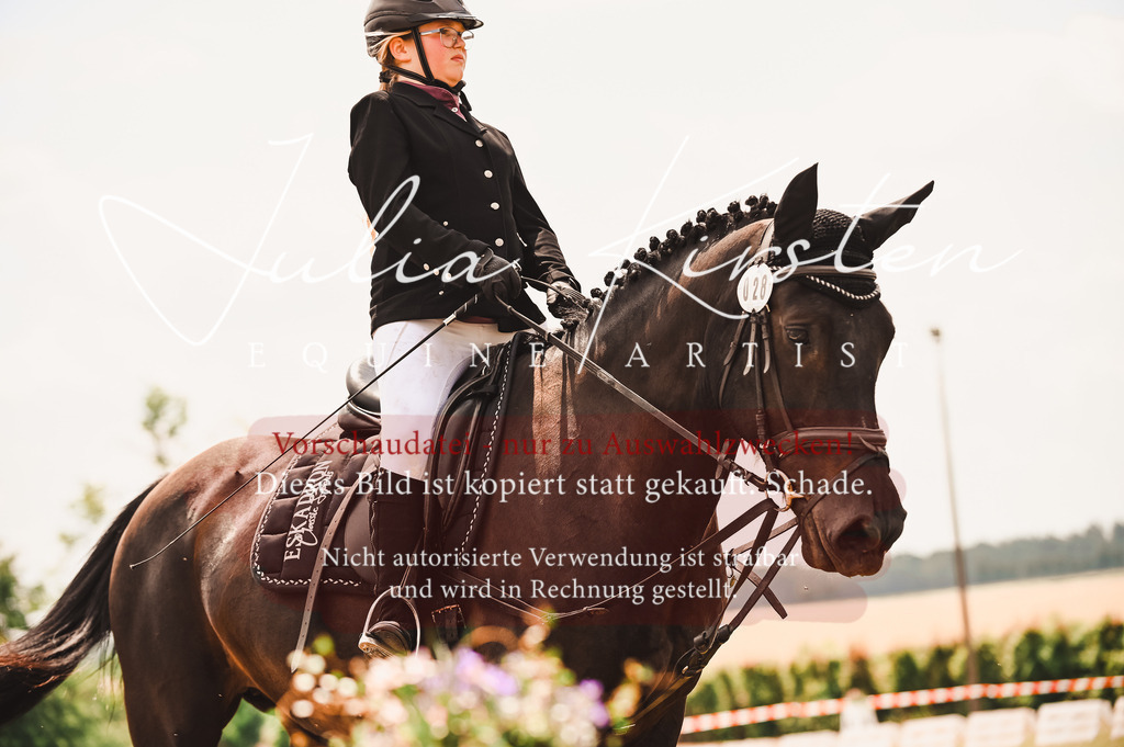 DSC_6217 | Pferde- und Turnierfotografie in Westsachsen. Pferdeportraits, Auftragszeichnungen und intuitive Kunst.