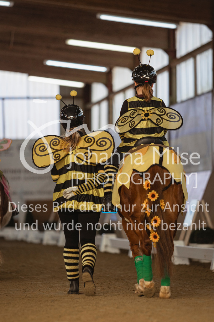 250316_HF-Schwm_Fuehrzuegel-116 | Deine schönsten Turniermomente als professionelle Fotos! Entdecke hochwertige Pferdesport-Fotografie im Online-Shop. Jetzt Fotos finden & bestellen!