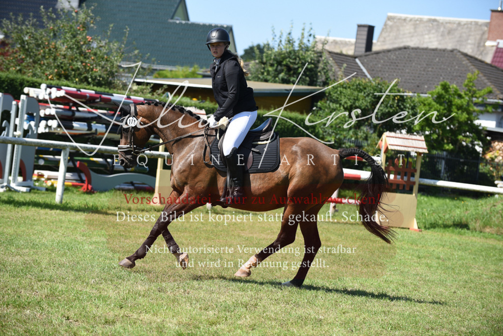 DSC_9409 | Pferde- und Turnierfotografie in Westsachsen. Pferdeportraits, Auftragszeichnungen und intuitive Kunst.