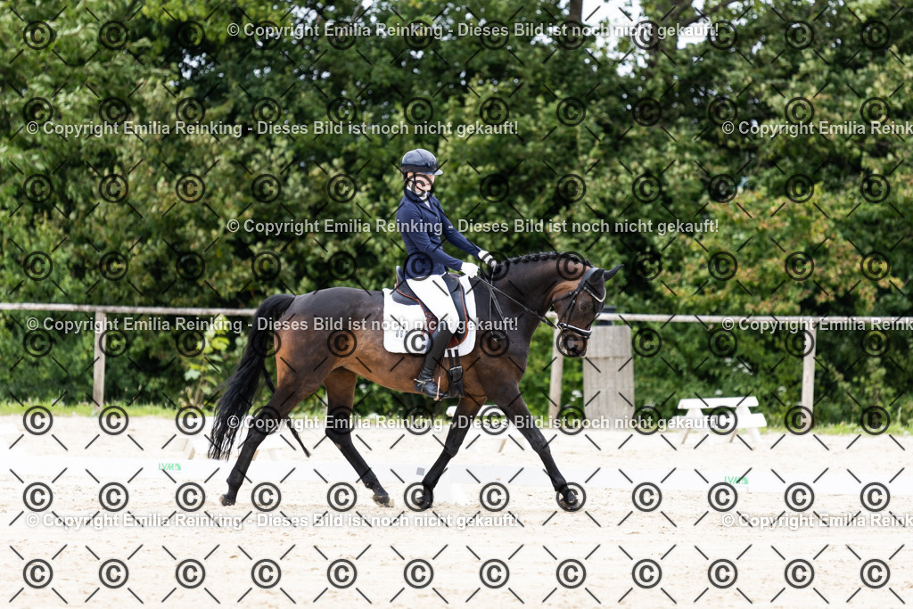 CL5A3300 | Emilia Reinking Fotografie - Realisiert mit Pictrs.com