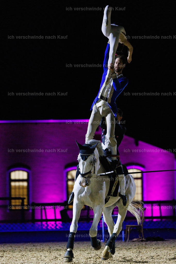 FHClassics-231 | working equitationturnier fotograf videograf stoibphotography marixx film working equitation deutschland reitsport turnierfotografie eventfotografie equestrian events