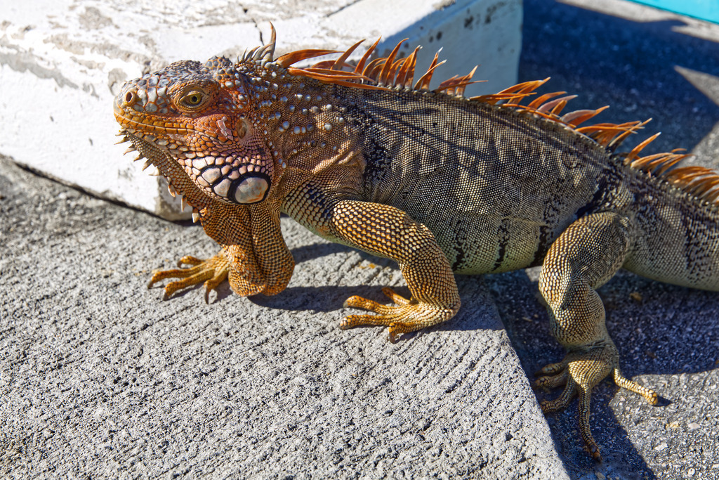 1H5A0492 | ansichtssache