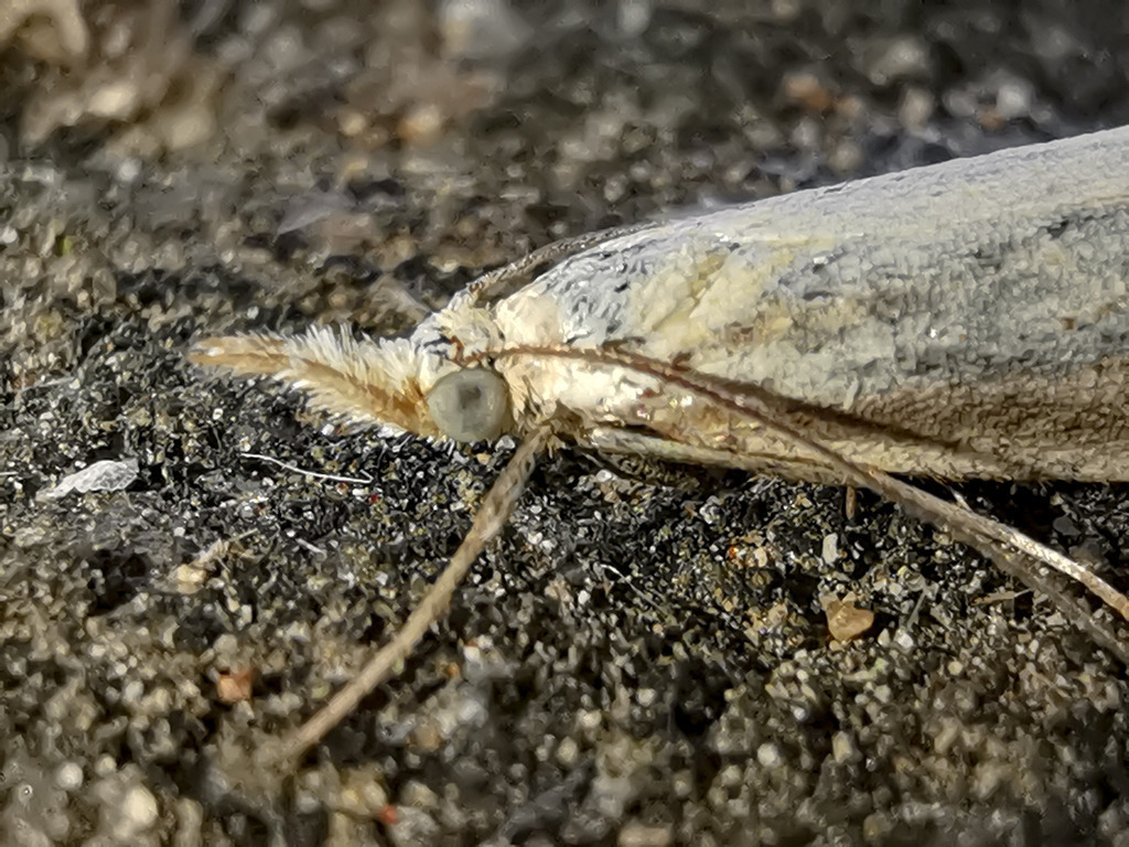 PSX_20230816_230648 | mtkfoto_ - Realisiert mit Pictrs.com