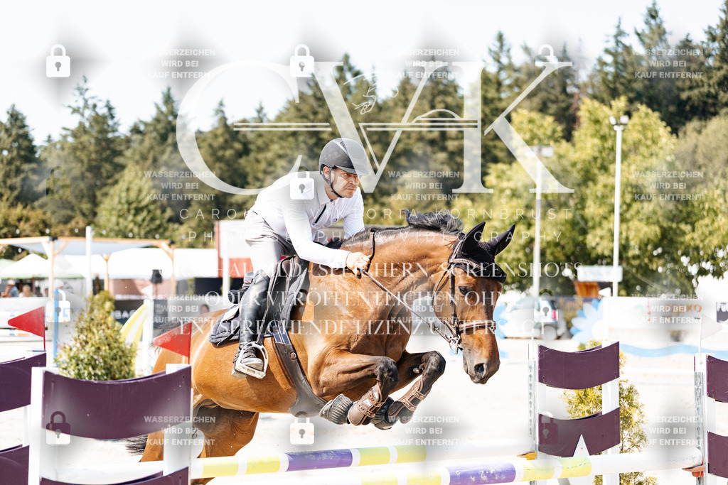 CK901685 | Turnierfotografie Pferdefotografie Trier Rheinland-Pfalz Pferdesport Reitsport Tierfotografie Sportfotografie Pferdevideo Pferdevideografie Equestrianvideography equestrianphotography  - Realisiert mit Pictrs.com