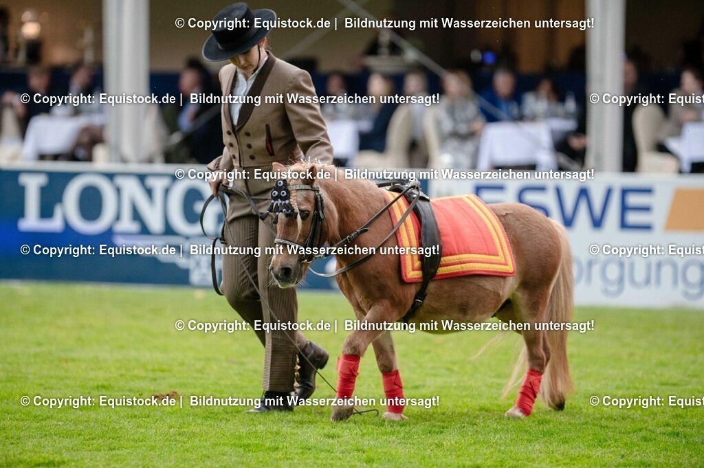 TS_20250606_Lange-Pferdenacht_0650 | Foto: Thomas Hartig