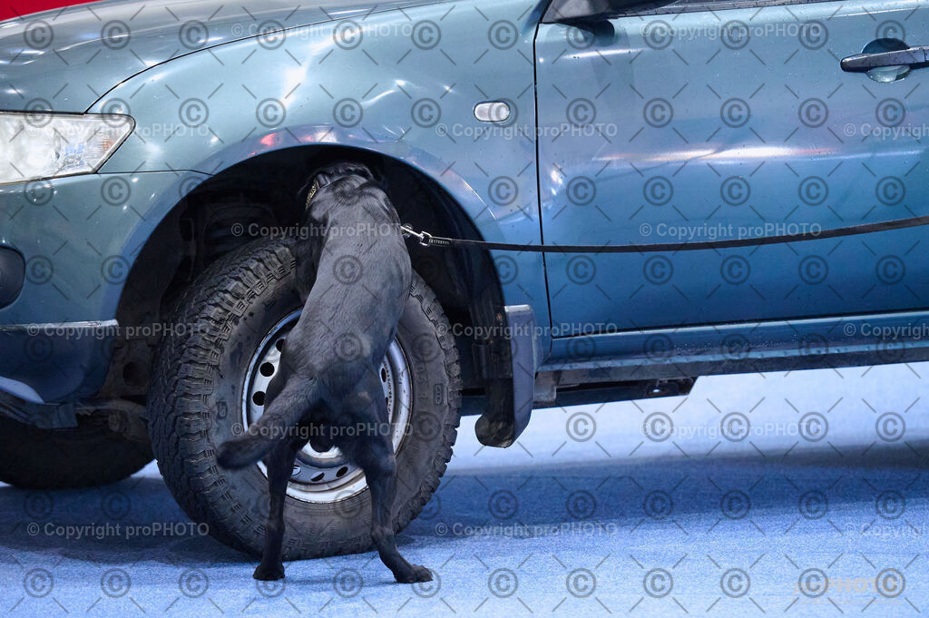 202406_ÖKV-IHA-Tulln24_DSC_2755 | proPHOTO - Realisiert mit Pictrs.com